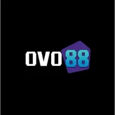 Panduan Lengkap Aplikasi ovo88 untuk Pemula